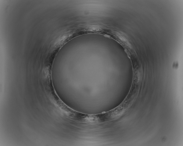 X0000090900415200707301417