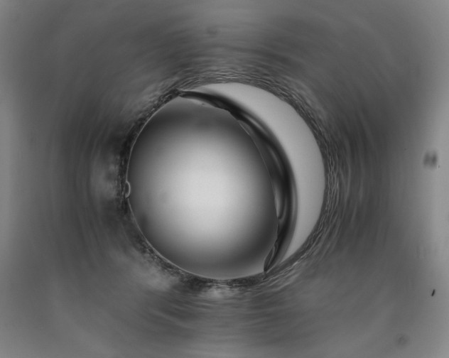 X0000090900416200707301417