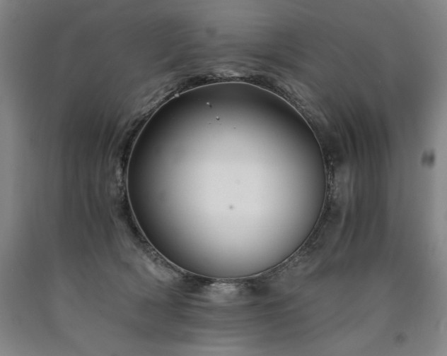 X0000090900418200707301417