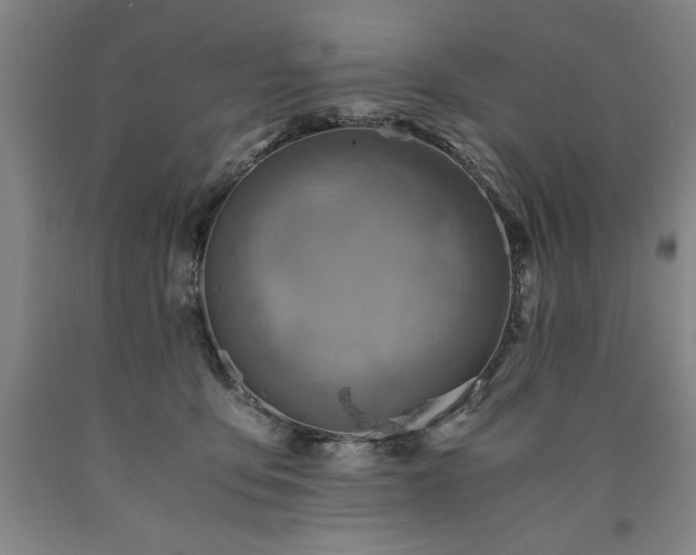 X0000090900419200707301417