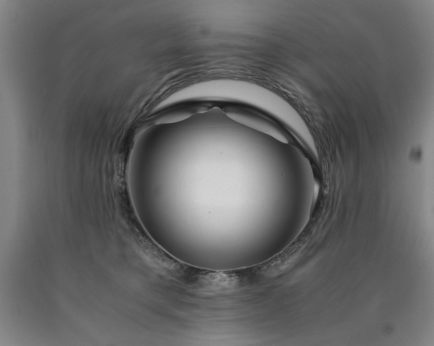 X0000090900421200707301417