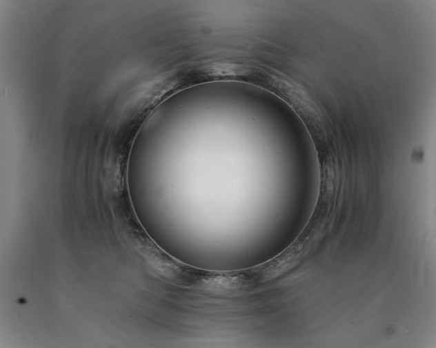 X0000090900422200707301417
