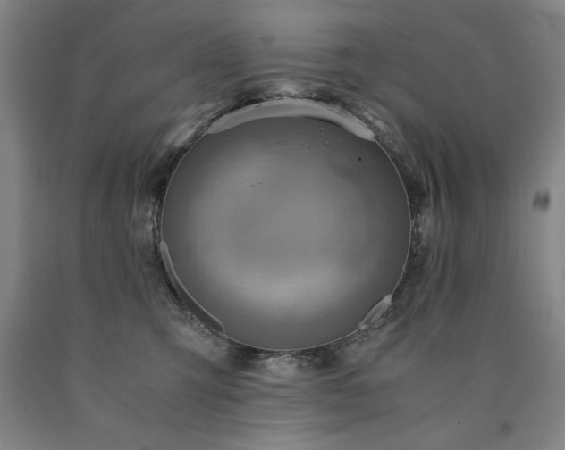 X0000090900423200707301417