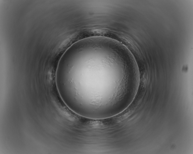 X0000090900424200707301417