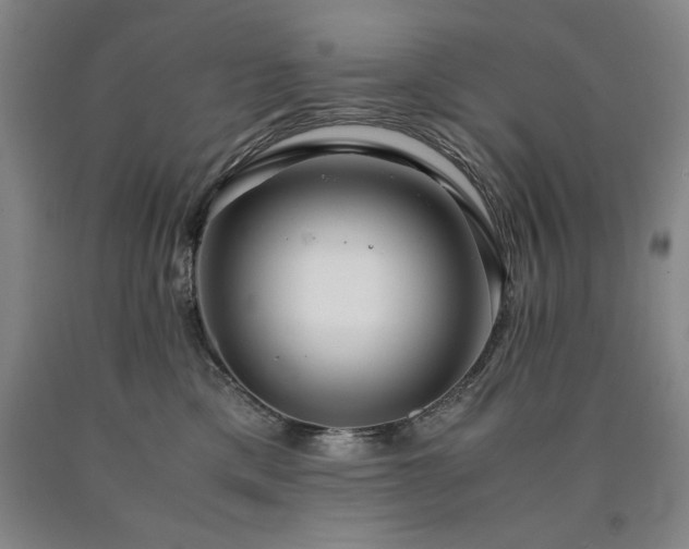 X0000090900425200707301417