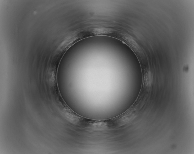 X0000090900426200707301417