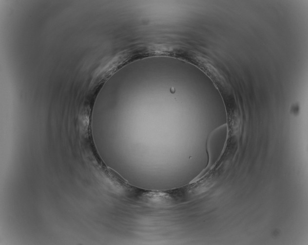 X0000090900427200707301417