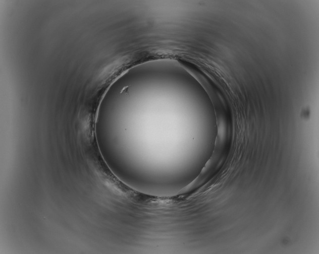 X0000090900428200707301417