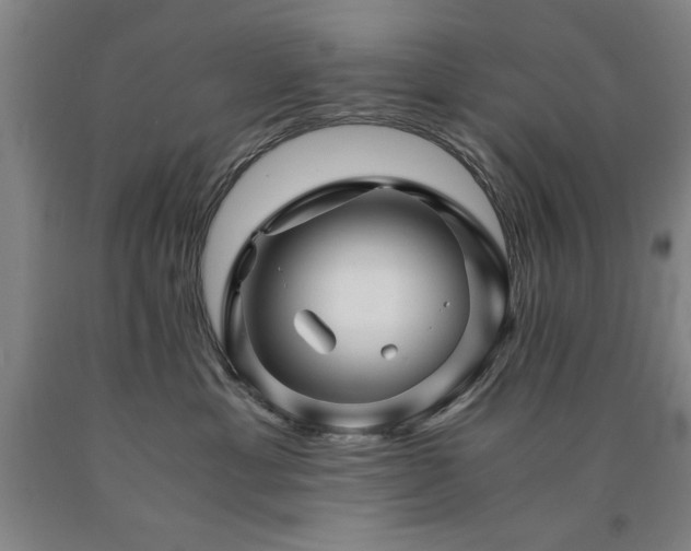X0000090900429200707301417