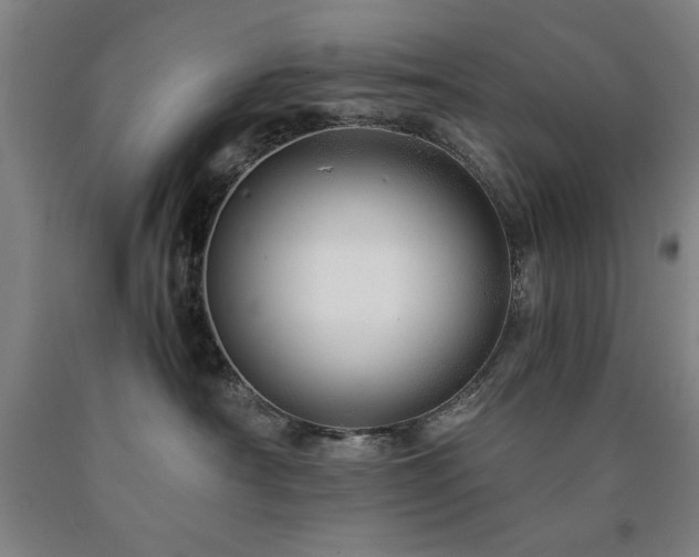X0000090900430200707301417