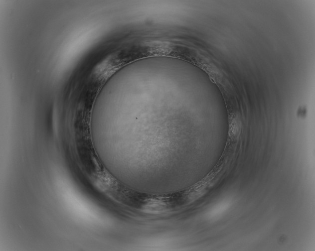 X0000090900431200707301417