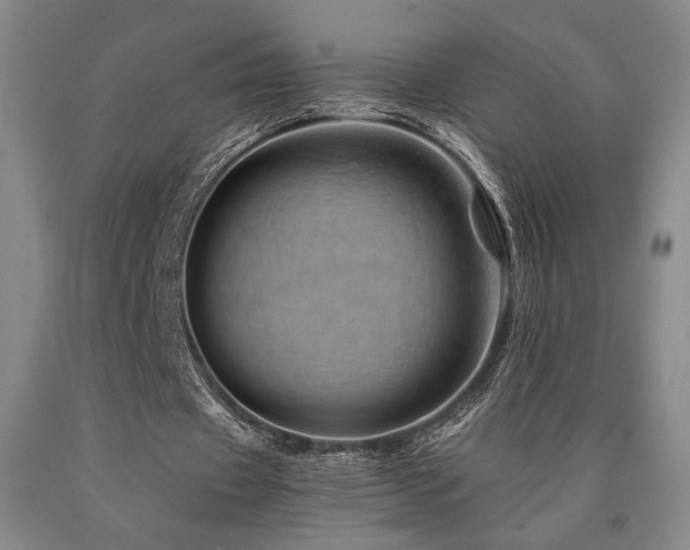 X0000090900433200707301416