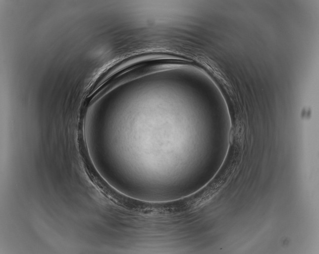 X0000090900434200707301416