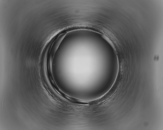 X0000090900436200707301416