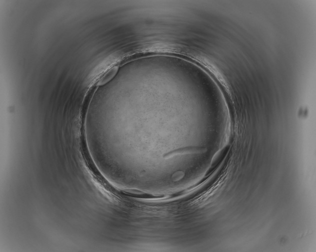 X0000090900437200707301416