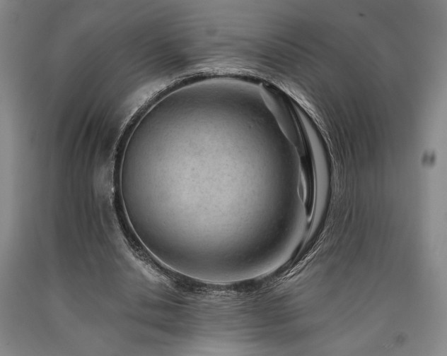 X0000090900438200707301416