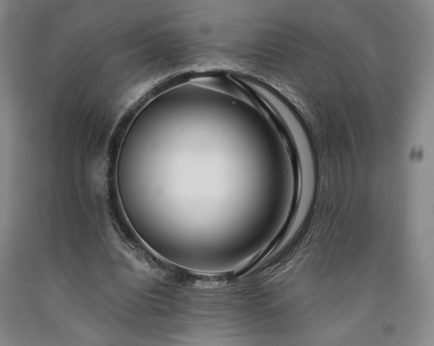 X0000090900440200707301416