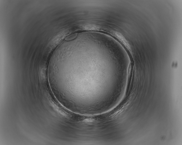 X0000090900441200707301416