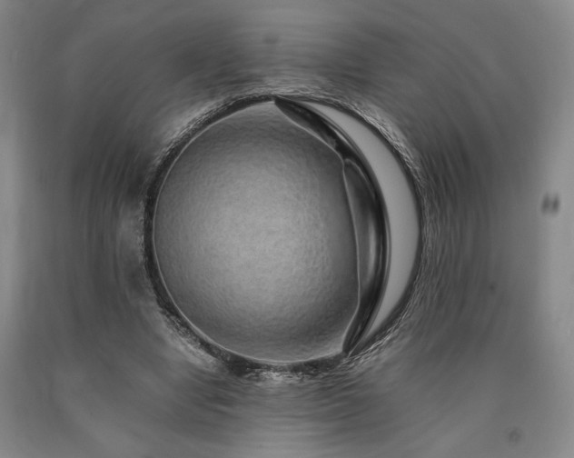 X0000090900442200707301416