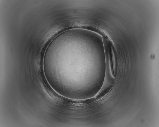 X0000090900443200707301416
