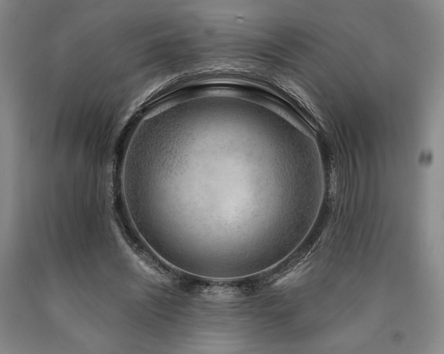 X0000090900444200707301416