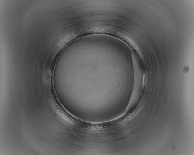 X0000090900445200707301416