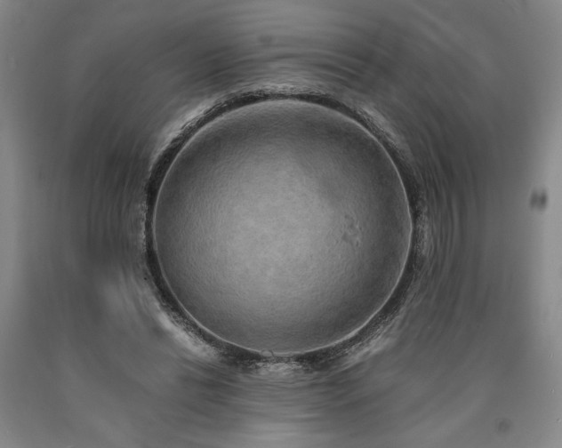 X0000090900446200707301416