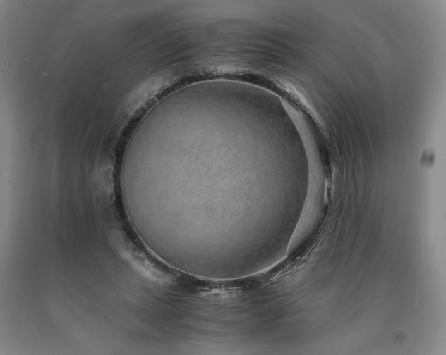 X0000090900447200707301416