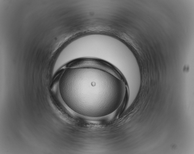 X0000090900448200707301416
