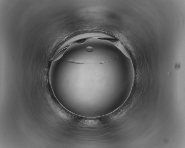 X0000090900449200707301416