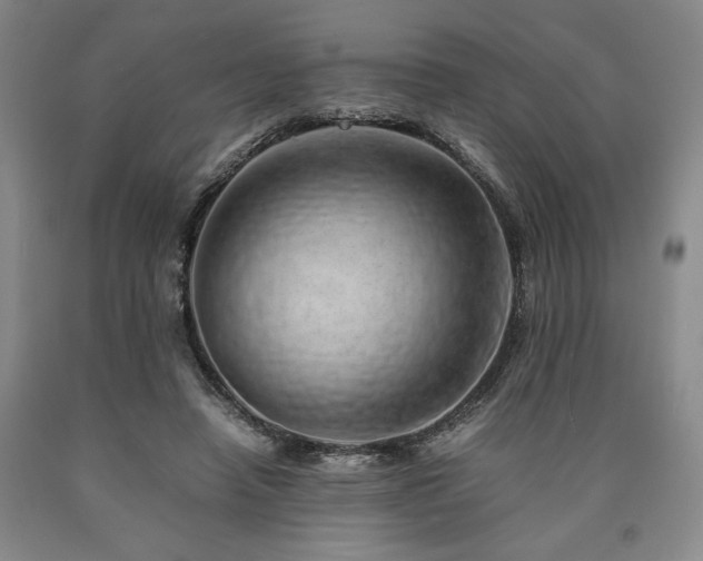 X0000090900450200707301416