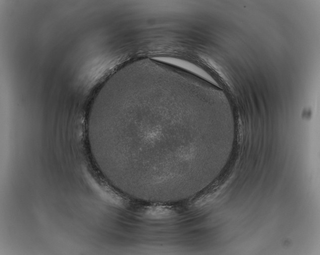 X0000090900451200707301416