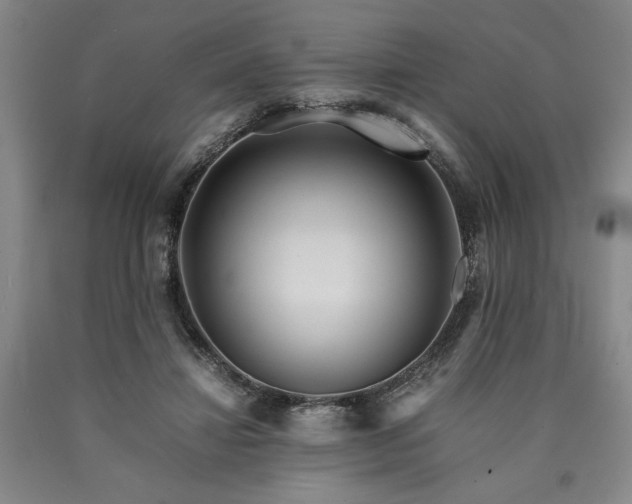 X0000090900452200707301416