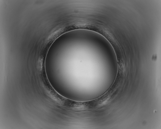 X0000090900454200707301416