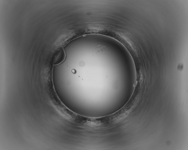 X0000090900455200707301416