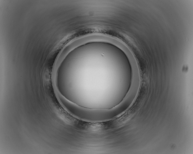 X0000090900456200707301416