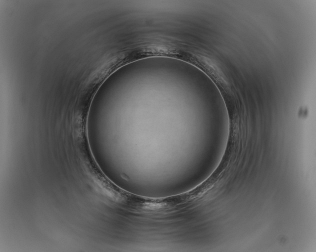 X0000090900457200707301416