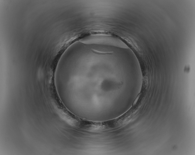 X0000090900458200707301416