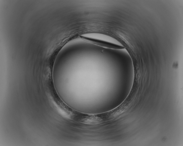 X0000090900459200707301416