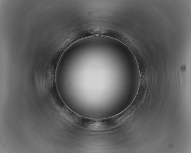 X0000090900460200707301416
