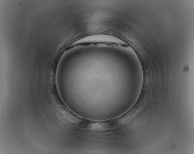 X0000090900461200707301416