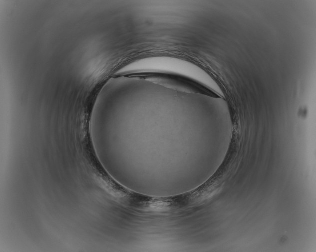 X0000090900462200707301416