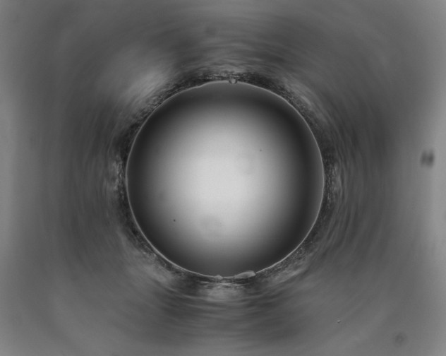 X0000090900463200707301416