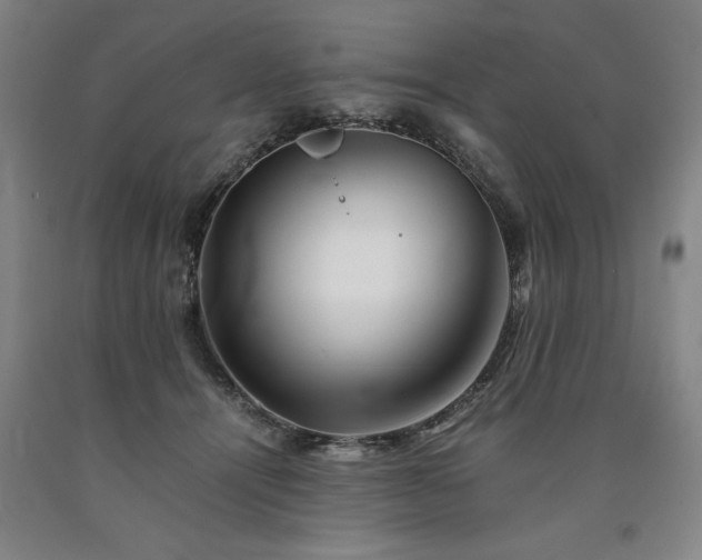 X0000090900464200707301416