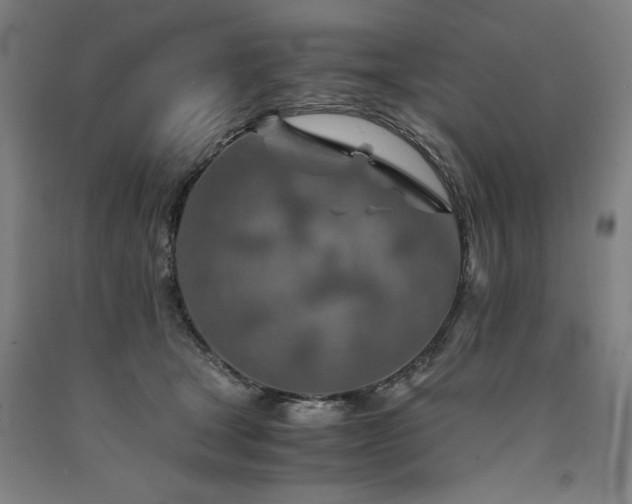X0000090900465200707301416