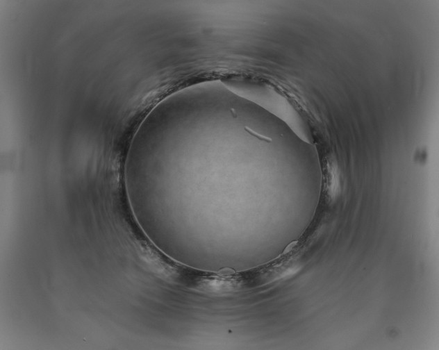 X0000090900466200707301416