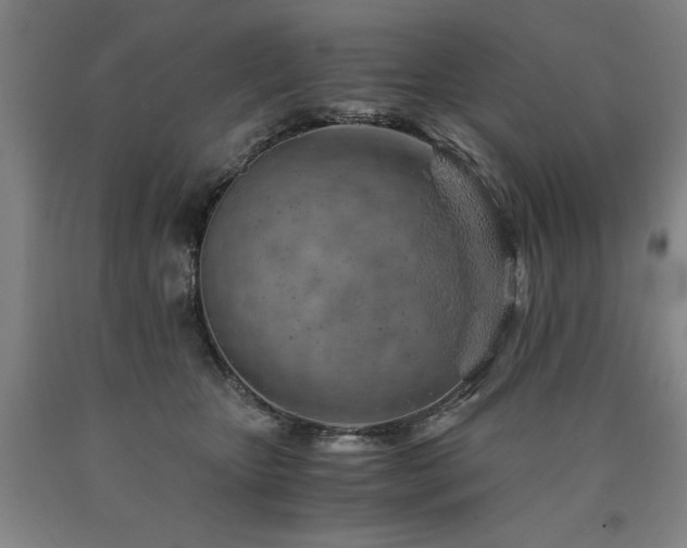 X0000090900467200707301416