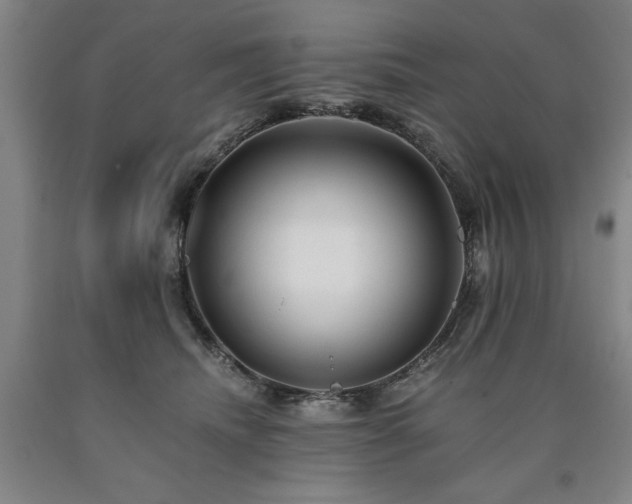 X0000090900468200707301416