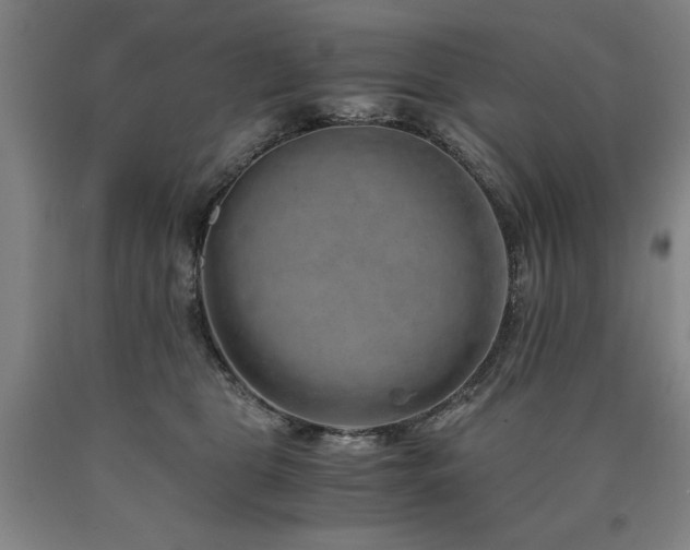 X0000090900469200707301416