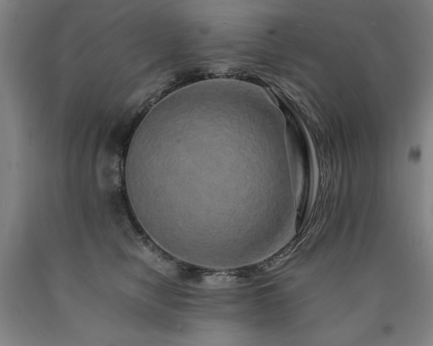 X0000090900470200707301416